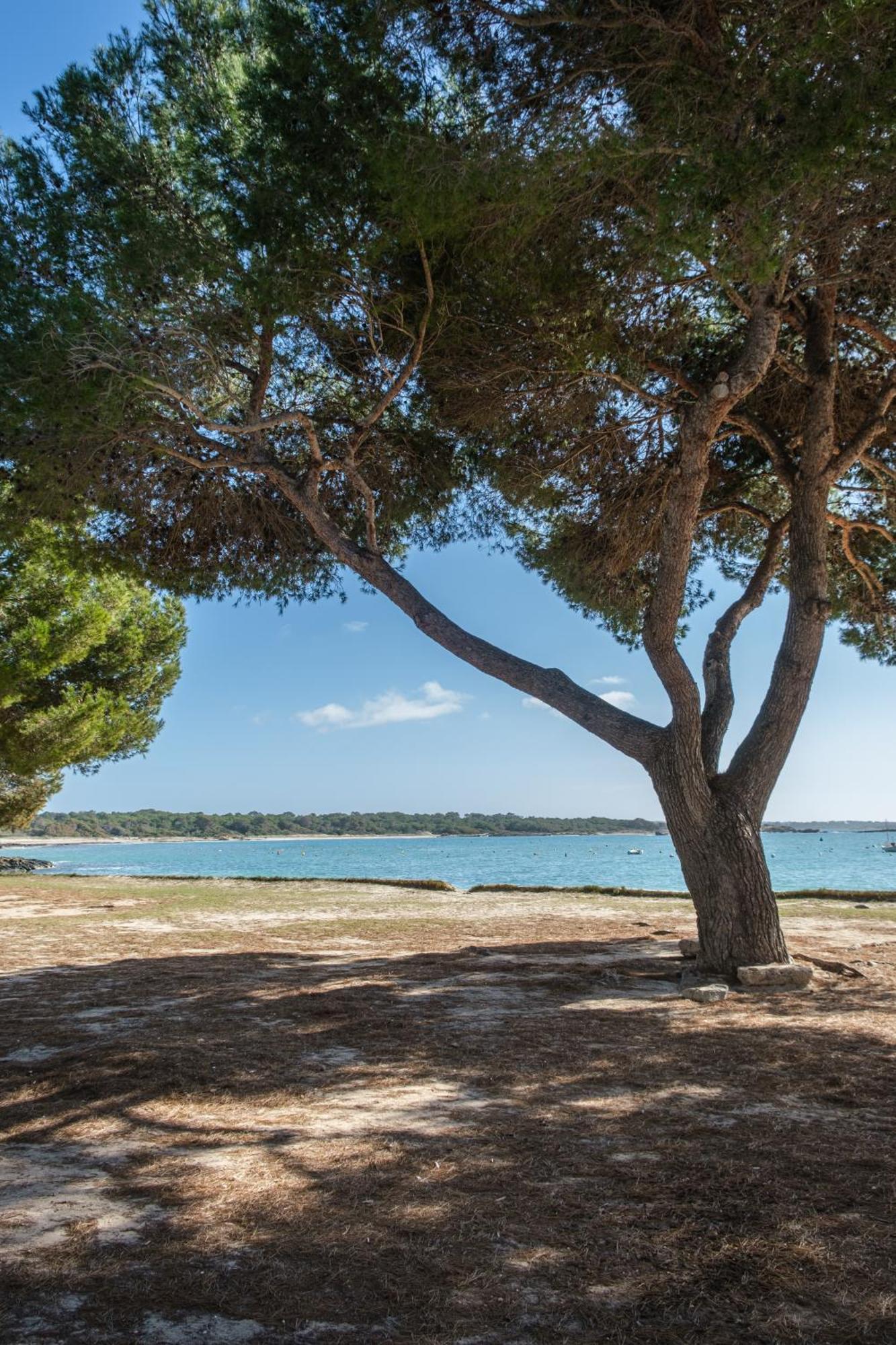 Alma Libre Beach Apartment Colonia de Sant Jordi Екстер'єр фото